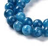 Dyed Natural Malaysia Jade Beads Strands G-G021-02B-10-3