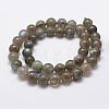 Natural Labradorite Beads Strands G-K209-04D-10mm-2