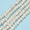 Natural Cultured Freshwater Pearl Beads Strands PEAR-F018-04D-01-2