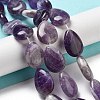 Natural Amethyst Beads Strands G-P528-L05-01-2