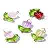 Handmade Lampwork Pendants PALLOY-YW028-01-2