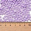 Baking Paint Luster Glass Seed Beads X1-SEED-B001-04A-09-4