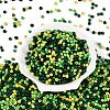 Opaque & Transparent Glass Seed Beads SEED-Q041-06D-2