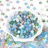 Transparent Colours Glass Seed Beads SEED-N007-39B-02-2