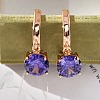 Brass Micro Pave Cubic Zirconia Leverback Earrings EJEW-K300-21G-02-2