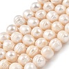 Natural Cultured Freshwater Pearl Beads Strands PEAR-I007-07T-01-2