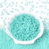 FGB Frosted Transparent Glass Seed Beads SEED-N013-04A-10-2