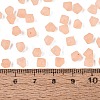 FGB Frosted Transparent Glass Seed Beads SEED-N013-03A-04-4
