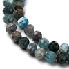 Natural Apatite Beads Strands X-G-A276-C08-4mm-01-4