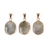 Natural Labradorite Pendants G-N349-04E-G-1