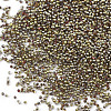 Plated Glass Seed Beads SEED-S017-03-3