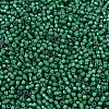 MIYUKI Delica Beads X-SEED-J020-DB1788-3