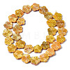 Natural Freshwater Shell Beads Strands LS-SHEL-Q025-002E-2
