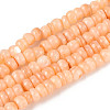 Natural Freshwater Shell Dyed Beads Strands SHEL-T020-29A-07-1
