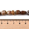 Natural Petrified Wood Beads Strands G-L621-C11-01-5