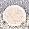 FGB Inside Colours Transparent Glass Seed Beads SEED-T009-01K-1