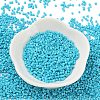 Baking Paint Glass Seed Beads SEED-S042-05B-58-2