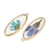 Alloy Epoxy Resin Pendants FIND-Z114-01G-03-2