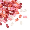 Glass 2-Hole Baking Paint Glass Seed Beads GLAA-G130-01B-1