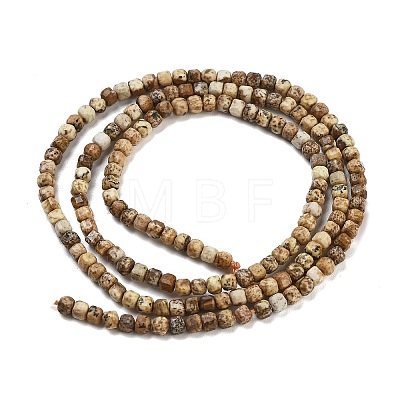 Natural Picture Jasper Beads Strands G-H042-B18-01-1