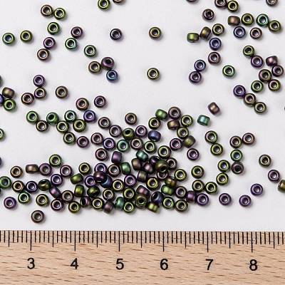 MIYUKI Round Rocailles Beads X-SEED-G008-RR2019-1