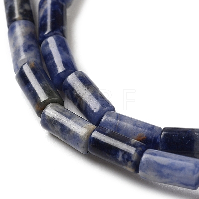 Natural Sodalite Beads Strands G-B091-A06-01-1