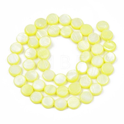 Freshwater Shell Beads Strands SHEL-T009-B16-01-1