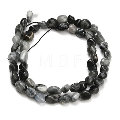 Natural Eagle Eye Stone Beads Strands G-D108-A02-04-1