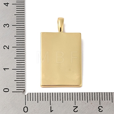 Brass Enamel Pendants KK-L216-009G-02-1