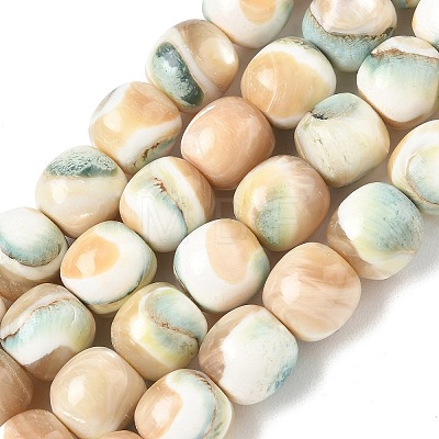 Natural Seashell Shell Beads Strands SH-CBAFEDD-01B-1