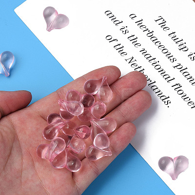 Transparent Acrylic Beads MACR-S373-70-B07-1