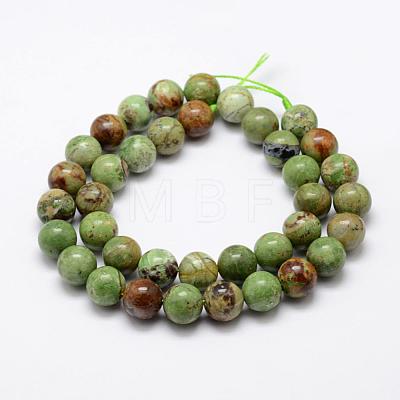 Natural Green Opal Beads Strands G-K209-04B-10mm-1