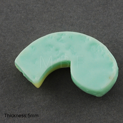 Resin Cabochons CRES-S072-05-1
