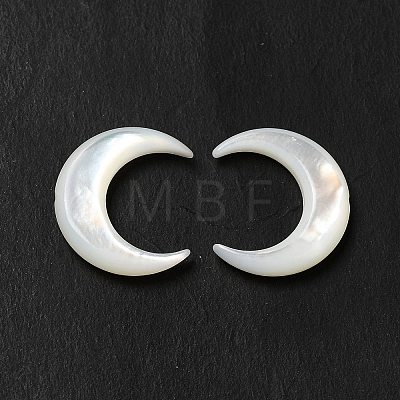 Natural White Shell Beads BSHE-E026-11-1