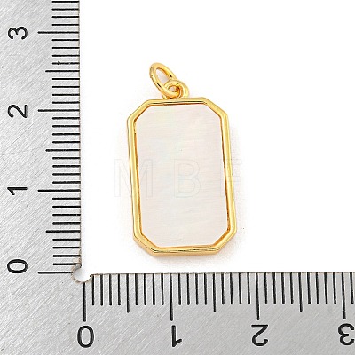 Rack Plating Brass Pave Clear Cubic Zirconia Pendants KK-Z048-02G-1