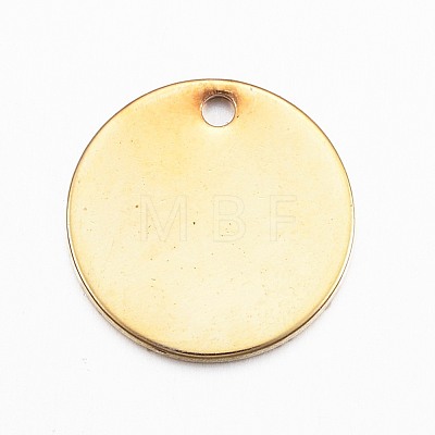 304 Stainless Steel Charms X1-STAS-G137-09G-1