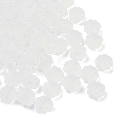 Frosted Transparent Acrylic Beads OACR-P029-03B-06-1