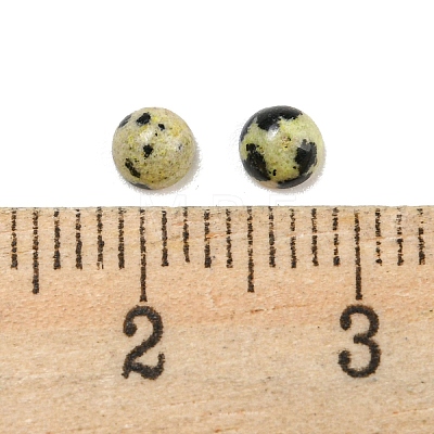 Natural Dalmatian Jasper Cabochons G-H309-03-50-1