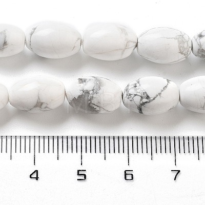 Natural Howlite Beads Strands G-B106-B25-01-1