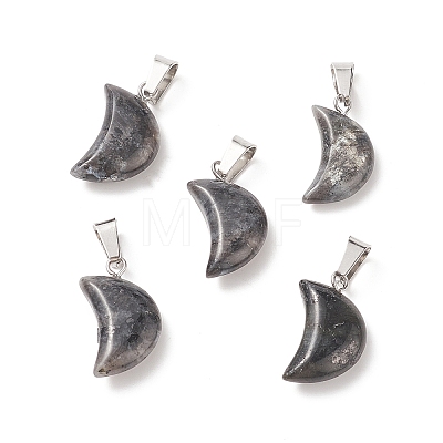 Natural Larvikite Pendants G-Q369-16-1