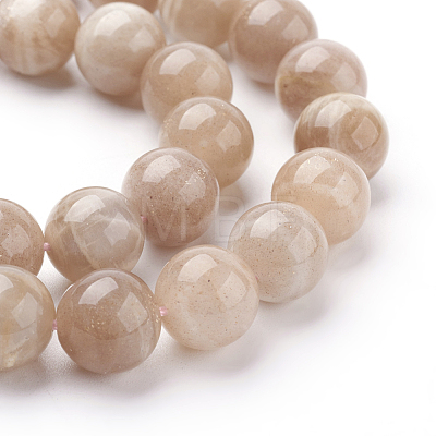 Natural Sunstone Beads Strands X-G-G099-10mm-14-1