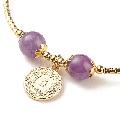 Brass Coin Charm Bracelet with Natural Amethyst BJEW-TA00116-02-1
