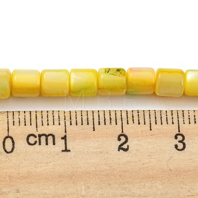 Natural Freshwater Shell Beads Strands SHEL-F008-04E-1