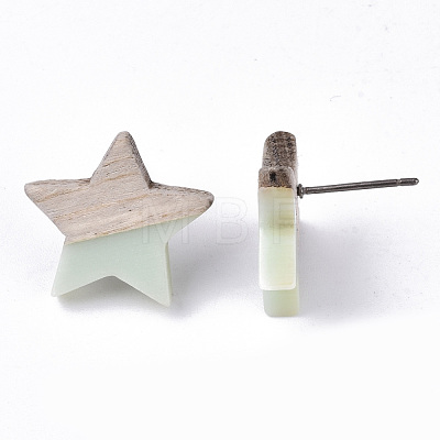 Resin & Wood Stud Earrings EJEW-N017-001A-C03-1