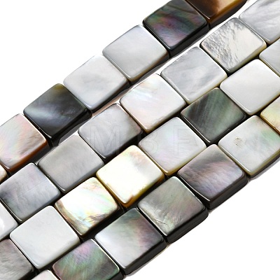 Natural Black Lip Shell Beads Strands SHEL-A006-09A-1