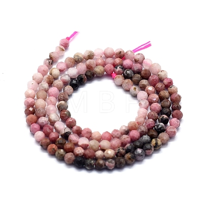 Natural Rhodonite Beads Strands G-D0013-10-1