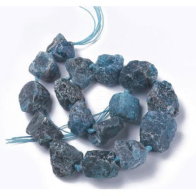 Natural Apatite Beads Strands G-F595-I01-1
