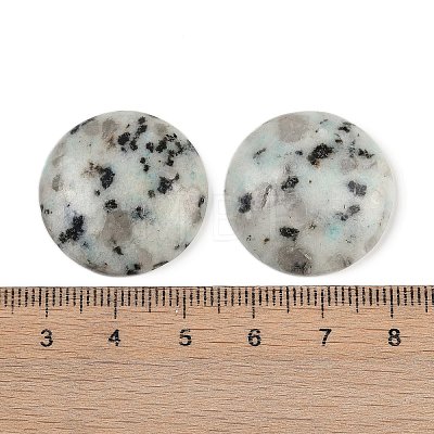 Natural Sesame Jasper Cabochons G-H1596-FR-25mm-14-1