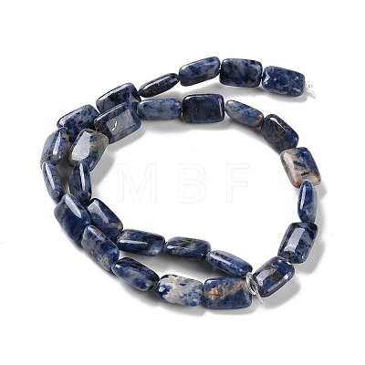 Natural Sodalite Beads Strands G-K357-D15-01-1