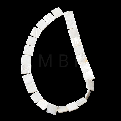 Natural Freshwater Shell Beads Strands SHEL-A006-10B-1